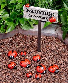 ladybug crossing sign surrounded by little ladybugs on the ground in front of some plants