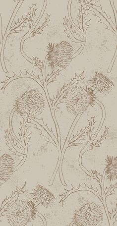 a drawing of a plant with leaves and flowers on it's side, in brown ink