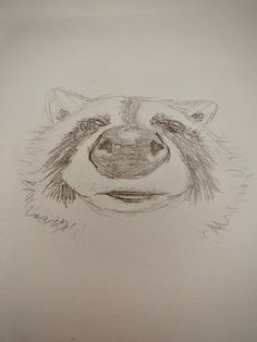 a drawing of a bear's face is shown in the middle of this photo