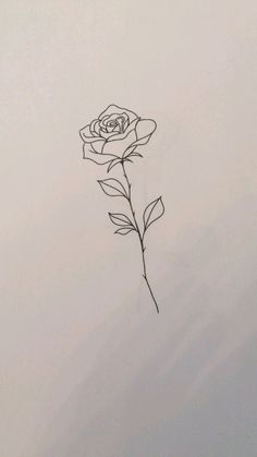 a drawing of a single rose on a white background