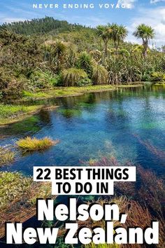 the best things to do in nelson, new zealand with text overlaying it