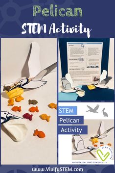 Science Stem Activities, Project Based Learning Middle School, Project Based Learning Elementary, Homeschool Stem, Stem Activities Preschool, Fish Activities, Preschool Stem, Science Stem, Stem Crafts