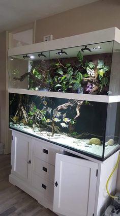 an aquarium with plants and rocks in the bottom half, on top of a white cabinet