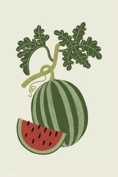 a watermelon and leafy greens on a white background with the words, go green