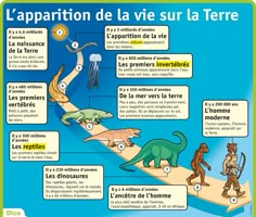 a poster showing different types of animals and their names in french, with information about them