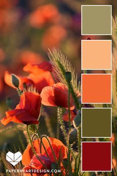 an orange and green color palette with poppies