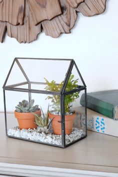 a glass house planter with succulents in it and the words 3 ways to refresh your home