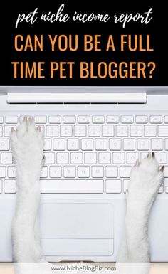 a dog is sitting in front of a laptop with the words can you be a full time pet blogger?