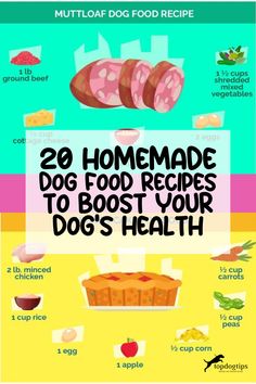 20 Homemade Dog Food Recipes to Boost Your Dog’s Health Homemade Dog Food Recipes No Chicken, Diy Farmers Dog Food, Homemade Dog Meals, Dog Food Diy, Homemade Dog Food Recipes Vet Approved, Dog Food Recipes Homemade, Puppy Recipes, Low Fat Dog Food