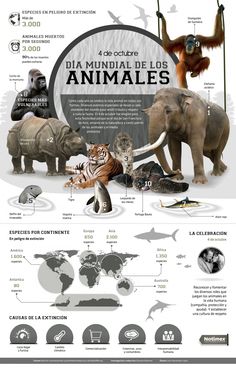 an info sheet with animals and other things in the world, including elephants, tigers, lions