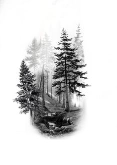 a black and white drawing of trees in the woods with foggy sky behind them