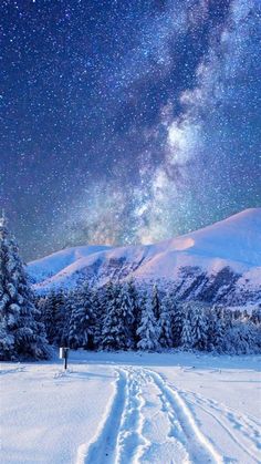 the night sky is filled with stars and snow