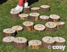 the numbers are placed on logs to make them look like they have been cut into smaller pieces