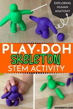 Human Body Systems Projects, Body Systems Project, Human Body Bones, Anatomy Learning, Play Doh Activities, Stem Activities Preschool, Body Preschool, Human Body Activities, Bones Show