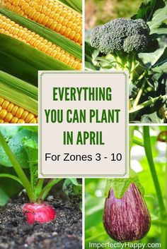 several pictures with the words everything you can plant in april for zones 3 - 10