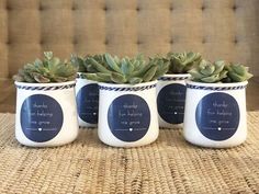 three ceramic mugs with succulent plants in them on a wicker table