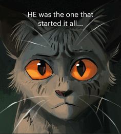 an image of a cat with orange eyes and the caption he was the one that started it all