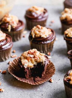 several chocolate cupcakes with nuts on top