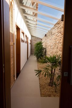 an open door leading to a hallway with stone walls and palm trees in the foreground