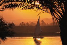 a sailboat on the water at sunset with palm trees in the foreground and mountains in the background