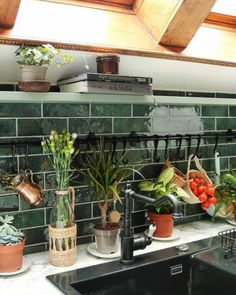 a kitchen with green tiles and potted plants on the shelf above the sink,