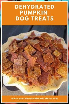 baked pumpkin dog treats on a plate with the words, dehydrated pumpkin dog treats