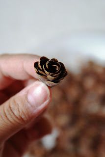 a person holding a tiny pine cone in their hand