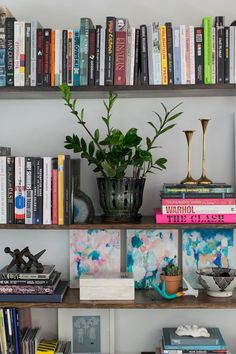 a bookshelf filled with lots of books next to a plant