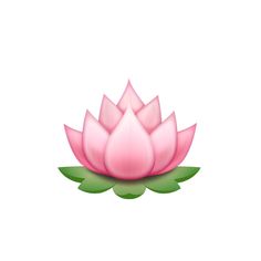 a pink lotus flower with green leaves on a white background, in the middle of an image