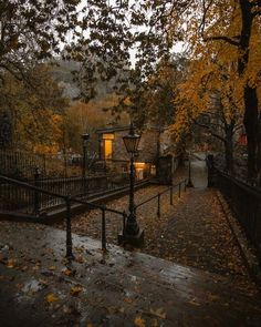 an empty street in the fall with leaves on the ground and some lights hanging above it