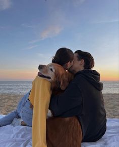 a man and woman kissing on the beach with their dog, who is wrapped in a blanket