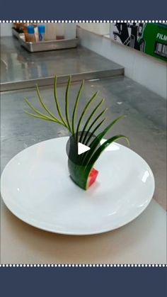 a white plate topped with a plant on top of a counter