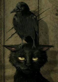 a black cat sitting next to a crow on top of it's head