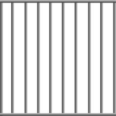 an image of a metal gate with bars on the top and bottom part, viewed from above