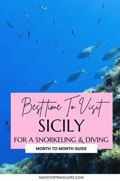 the words best time to visit sicly for a snorling and diving trip