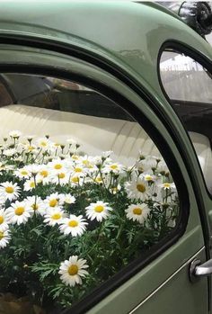 a green car with white daisies in the window