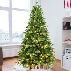 a small christmas tree in a living room with lights on the top and bottom branches