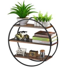 a round shelf with plants and books on it, along with two toy cars in the center