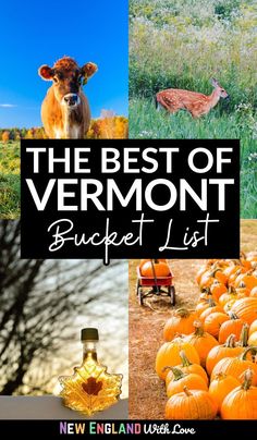 the best of vermont bucket list with pictures of pumpkins, deer and other things