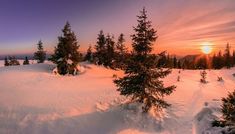 the sun is setting over some trees in the snowy field with snow on the ground