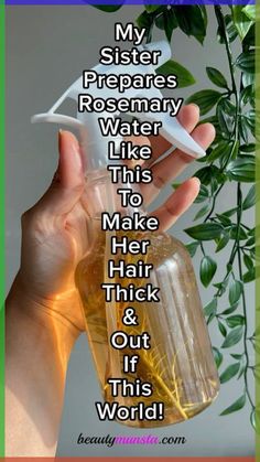 This blog contains affiliate links. Diy Hair Growth Spray, Rosemary Hair Growth, Rosemary Water, Healthy Natural Hair Growth, Rosemary Oil For Hair, Hair Growth Spray, Hair Growing Tips, Hair Remedies For Growth, Homemade Hair Products