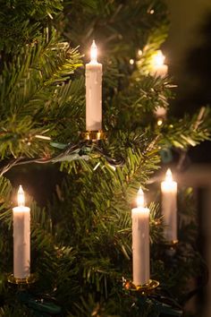 a christmas tree with lit candles hanging from it