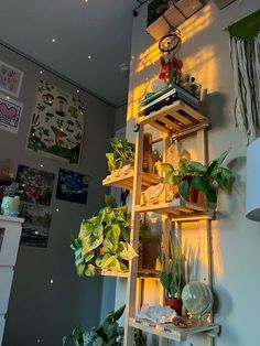 a shelf filled with lots of plants next to a wall