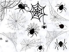 spider webs and cobwes on white marble background with black silhouettes