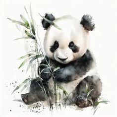 a panda bear sitting on the ground eating bamboo with watercolor style painting behind it