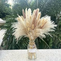 a vase filled with dried grass sitting on top of a table next to some plants