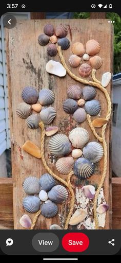 a wooden board with seashells on it and the words, view save below