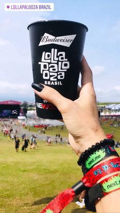 Lollapalooza 2019 Lollapalooza Photo Ideas, Festival Girls, Rock In Rio, Festival T Shirts, Event Branding, Alcohol Drink Recipes, Music Business