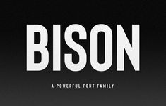 a black and white typeface with the word bison in it's upper right corner