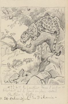 a pencil drawing of a leopard on a tree branch with another animal in the background